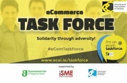 eCAI, eCom, Irish