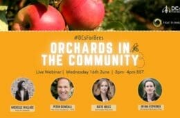 DCs for Bees Orchards in the Community Launch