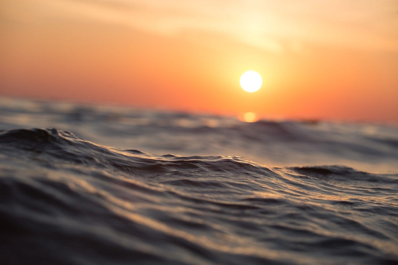 Our Ocean Is Key to Our Future