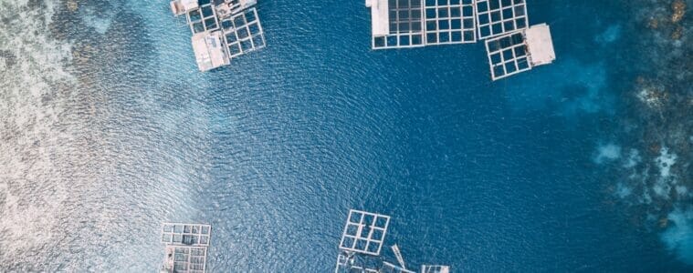 A new Integrated Multi-Trophic Aquaculture online course is now available on the Open University's OpenLearnCreate Platform