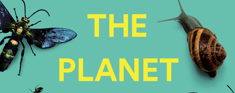 Rebugging the Planet