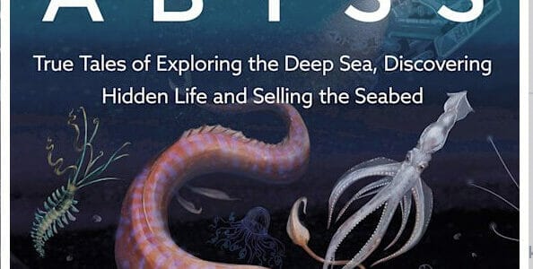 The Brilliant Abyss