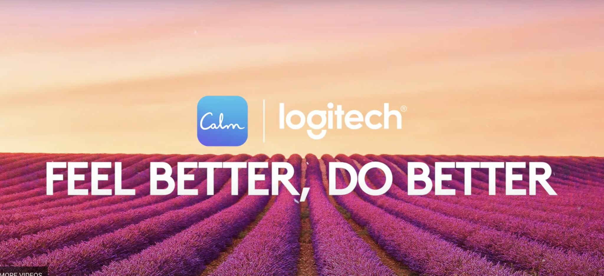 Logitech H540