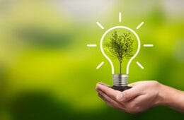Decarbonize to net zero