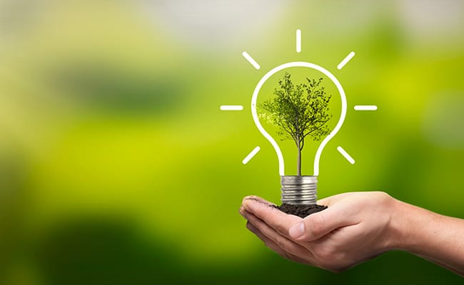 Decarbonize to net zero
