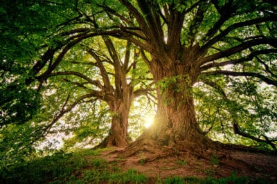 €29.5 million for Irish Community Climate Projects