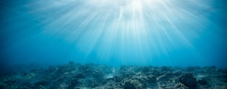 Underwater photography of ocean