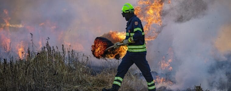 Dryad Networks raises €6.3M to lead breakthrough innovations in wildfire detection and drone-based suppression technology