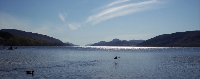 Community to explore buyout of rewilding estate near Loch Ness