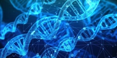 dna, analysis, collaboration, research, genetic material, helix, biology, chemistry, medical, science, genetically, discovery, development, biological, dna, dna, dna, dna, dna, biology, medical, medical, science, science, science. STEM