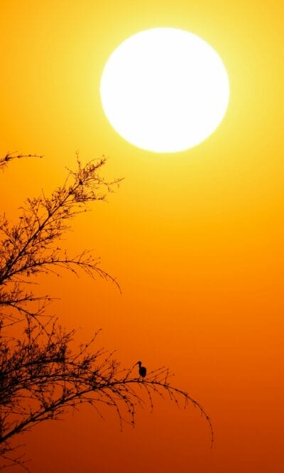 One Third of Irelands Power Came From Solar on Monday