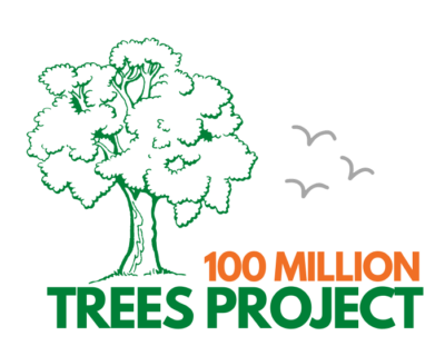 100 Million Trees Project continues to create more mini Irish forests